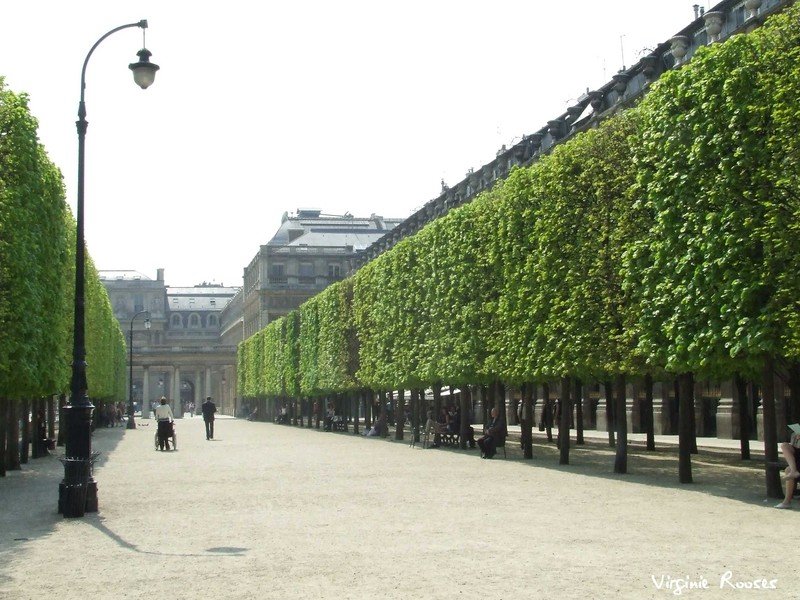 Paris-Jardin des Tuileries-Louvre-Palais-Royal